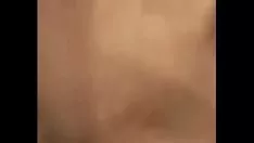 播放 高德自酿