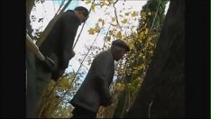 播放 8460693 落后于 dans bois 480p