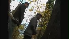 播放 8460693 落后于 dans bois 480p