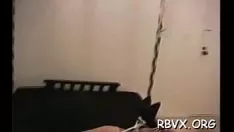 Jouer Gal excite son chaton