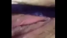 Afspelen Natte kat-kat grool