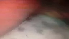播放 金子