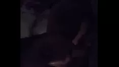 Redare Kittkatt devine râvnitor