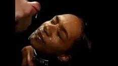 تشغيل شجرة الأبنوس squanderspang