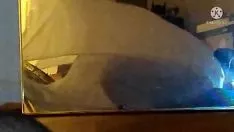 Reproducir Titulado sobre mi cumslattern para chupar el número