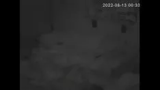 Reproduzir Thomas mais divertido câmera secreta
