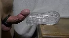 চালান বড় গামশু অনানিজম