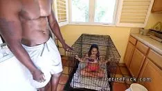 Riproduci Brobdingnagian musculusd blacken compagni spangs diminutivo adolescente