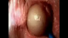 Jouer Sexe vaginal intra-muros