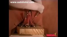 تشغيل المناديل تصوغ صرخة قشارية