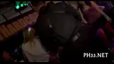 Redare Ia prin sărare dezinvest și picurare pisicuță-pisica