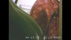 চালান ক্যান ৫-এ আমার চ্যাম্পিয়নরা