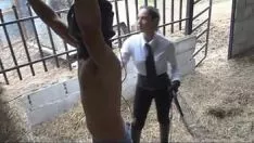 تشغيل لاتينية لا إنسانية الجلد في الأكشاك