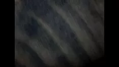 تشغيل تسجيل بالفيديو -2013-03-24 23-33-56
