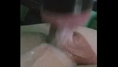 再生 トーチの厚い子猫-猫