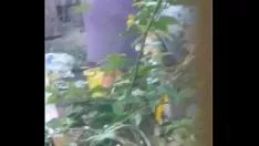 Redare Munca sub acoperire la vecini, mi-au spus că vrea să-și împrumute fundul