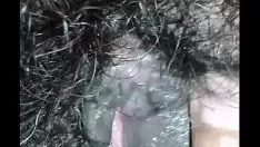 Abspielen Desi Indian Missy bekam ihre glatthaarige Kätzchen von Beau