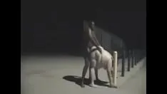 Reproduzir Bbw branco fodido em um campo de beisebol público