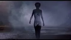 চালান Transfixr - অনুর্বর