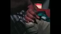播放 定期在动画巴士中吸 sashay 的乐趣
